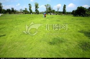 青青青草国产视频,国产视频中的青春记忆与成长轨迹