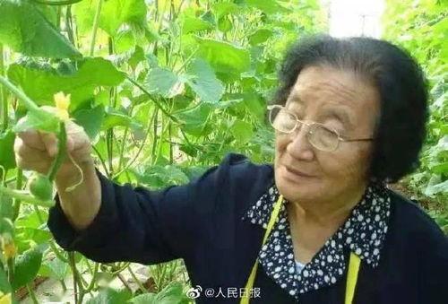 娱乐圈吃瓜熊婶是谁的孩子,揭秘“吃瓜熊婶”背后的神秘之子