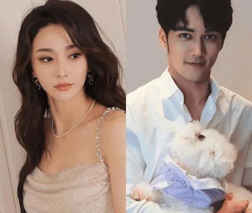 娱乐大妞吃瓜视频,揭秘娱乐圈最新热点事件