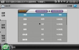 国产导航在线,引领智慧出行新时代