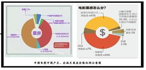 国产综合片,多元文化融合下的视听盛宴